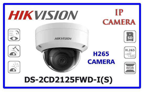 DS-2CD2125FWD-I(S) - Hikvision Network Camera