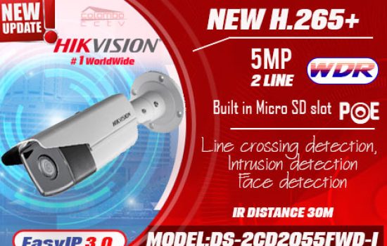 DS-2CD2055FWD-I - Hikvision IP Camera
