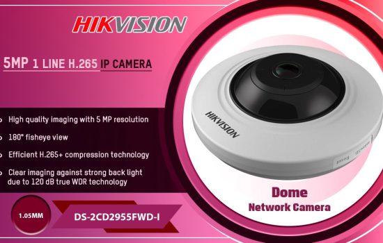 DS-2CD2955FWD-I 5MP IP CAMERA Hikvision Camera.lk Colombo Sri Lanka