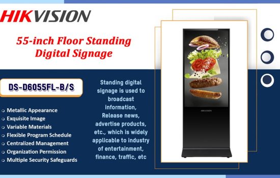 DS-D6055FL-B/S Hikvision MONITOR Camera.lk Colombo Sri Lanka